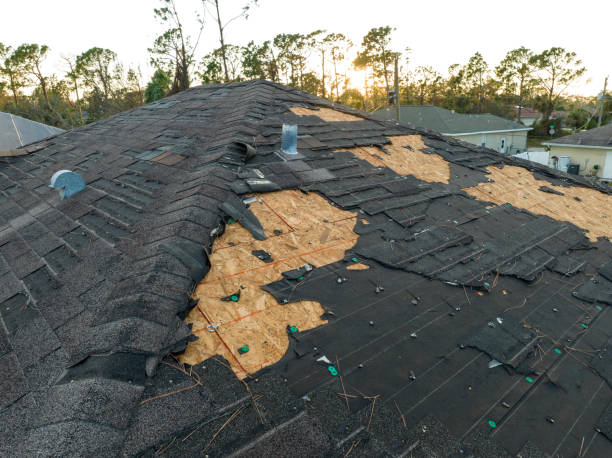 Best Roof Inspection  in Palermo, CA